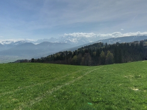 COMBLOUX VUE MONT BLANC