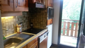 Appartement T2 Chalet les Moullins Neufs